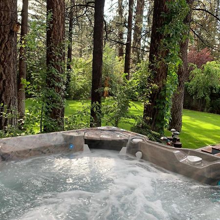 大熊湖Bluebeary Pines-Perfect Escape-Private Hot Tub-Walk To Ski Shuttles别墅 外观 照片